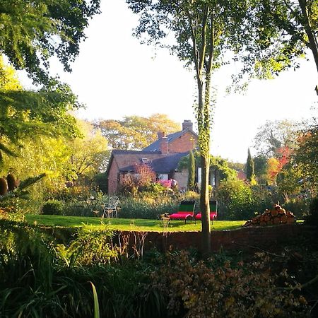 Hayeswood Lodge Luxury Accommodation Stanley  Buitenkant foto
