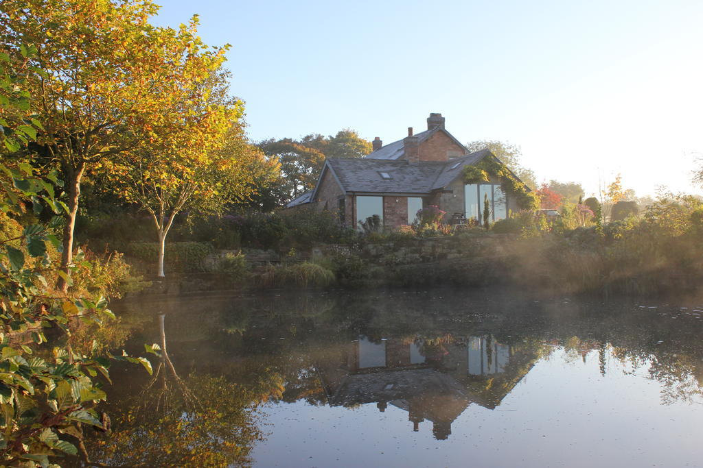 Hayeswood Lodge Luxury Accommodation Stanley  Buitenkant foto